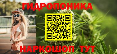 сатива Обь