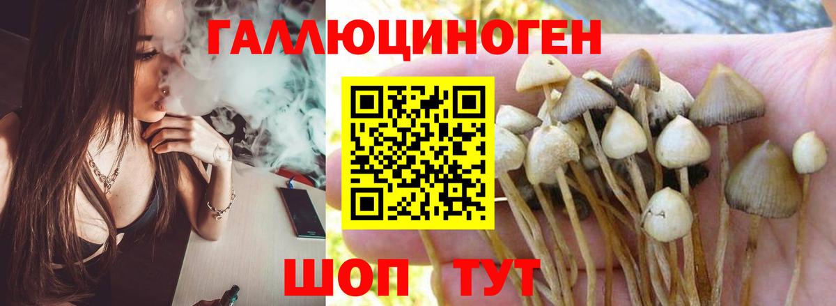 Alpha PVP СК   Вход с VPN  Канабис  ГАШИШ  Нижний Тагил  ГАШ  Меф МЯУ МЯУ  