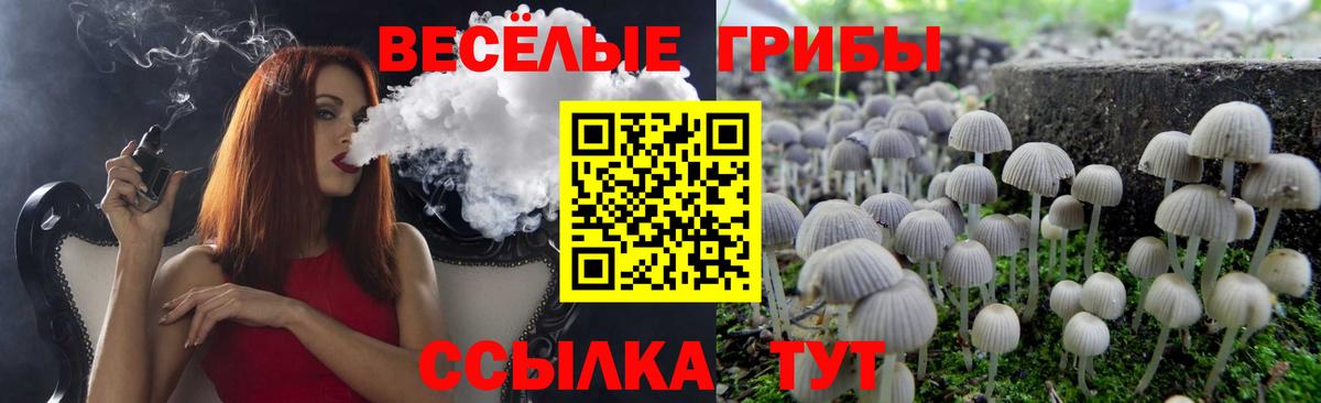 Галлюциногенные грибы ЛСД Нижний Тагил