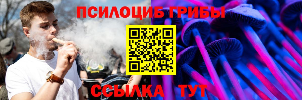Псилоцибиновые грибы GOLDEN TEACHER  Псилоцибиновые грибы прущие грибы  Вход с VPN  Нижний Тагил 